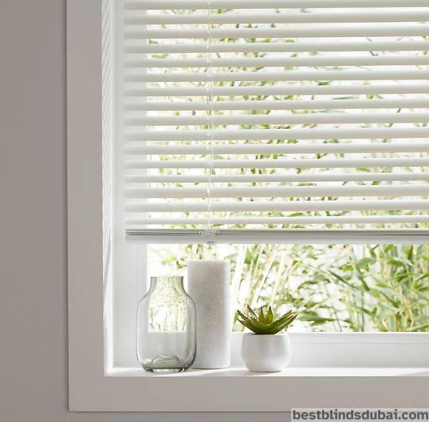 Venetian Blinds