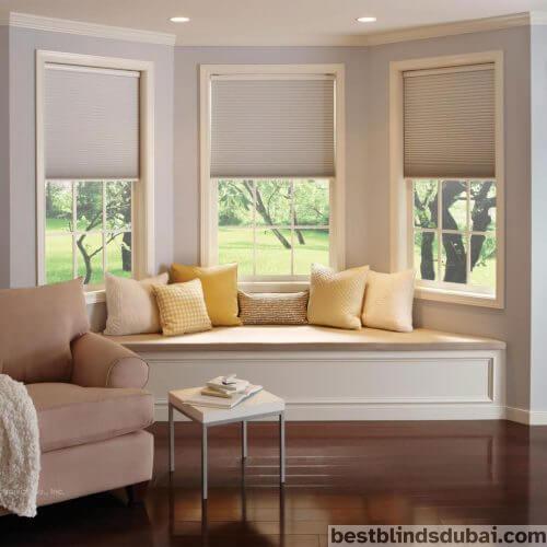 Window Shades